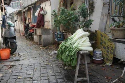 原阳老城区吃瓜事件,一场引发热议的街头冲突