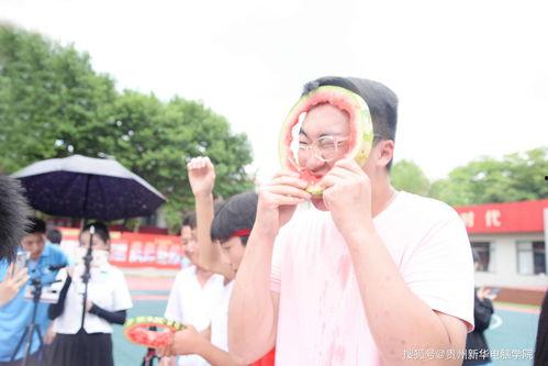 贵州大学吃瓜校队事件始末,校园风波背后的真相与反思