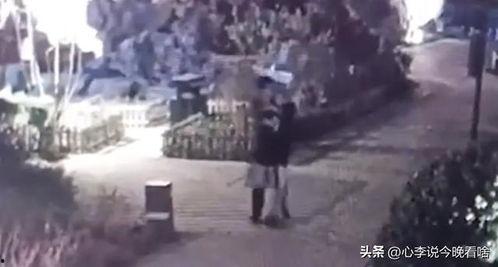 阜南吃瓜事件真相视频完整版,揭秘真相背后的惊人内幕