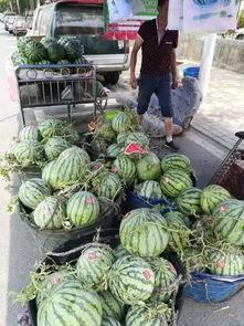 无锡南洋吃瓜事件视频,校园风波背后的真相揭晓